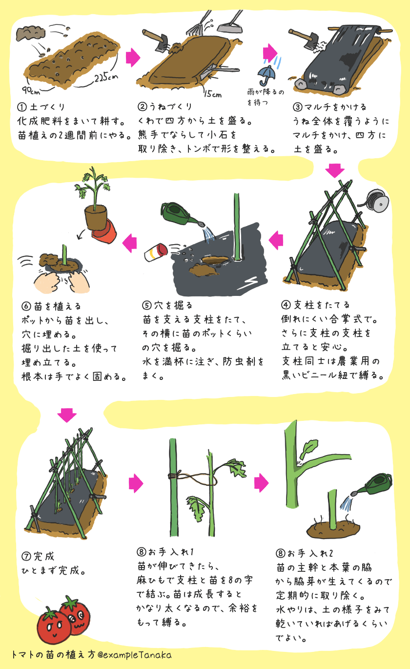 240506_tomato.png