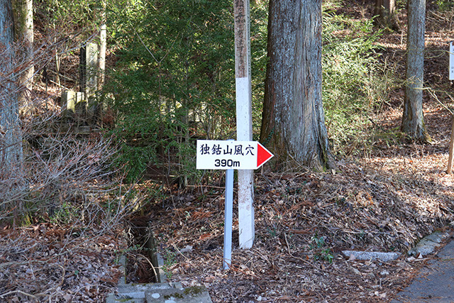 IMG_1469.jpg