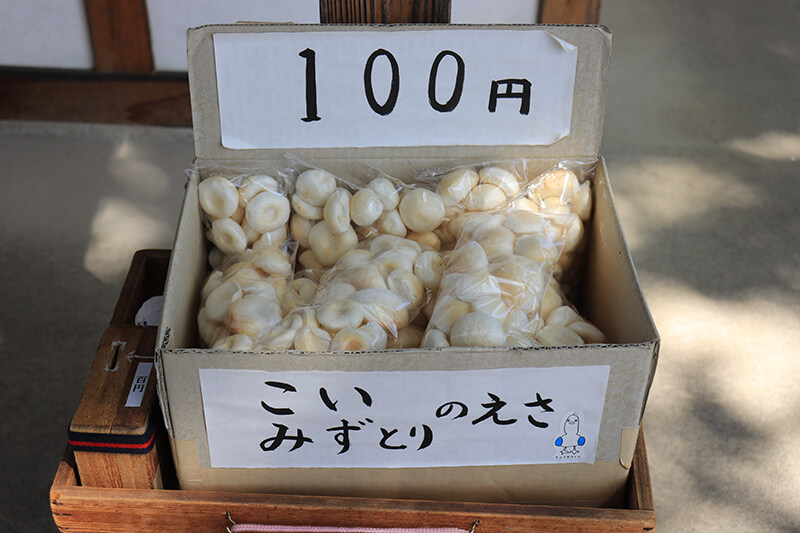 生島足島神社　鯉と水鳥のエサ