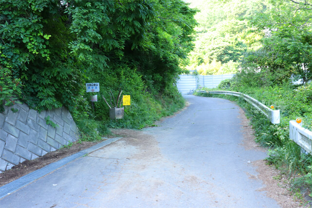 img20180706_02.jpg