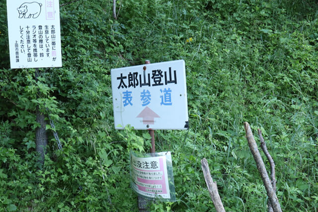 img20180706_03.jpg