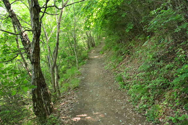 img20180706_04.jpg