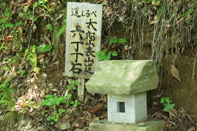 img20180706_06.jpg