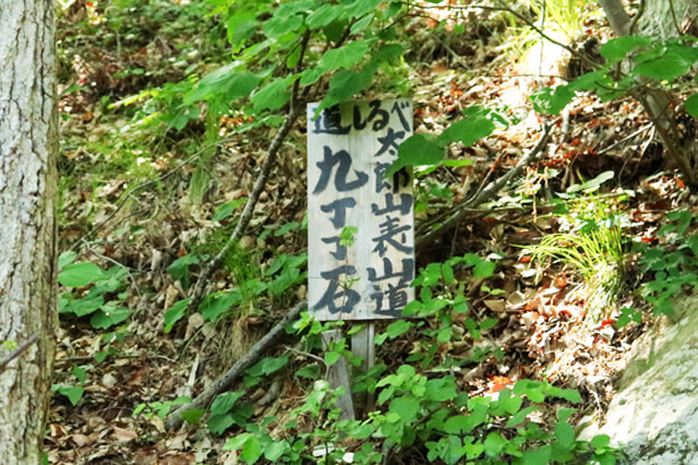img20180706_07.jpg