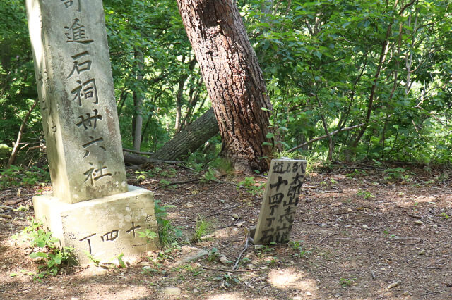 img20180706_11.jpg
