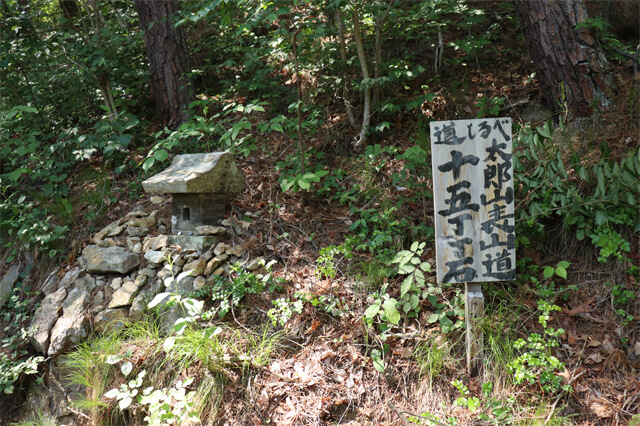 img20180706_12.jpg