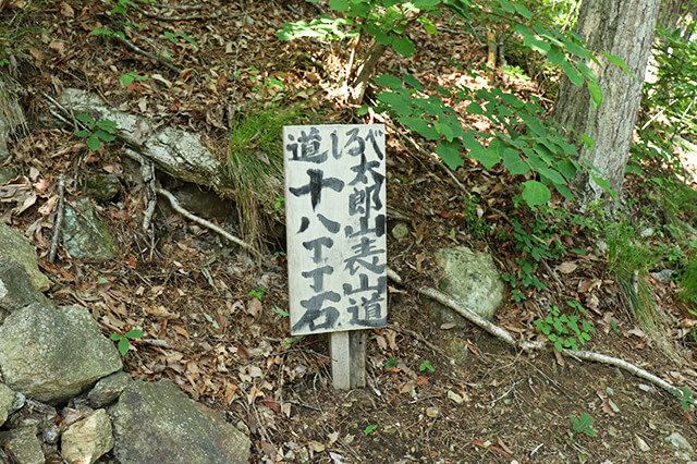 img20180706_13.jpg