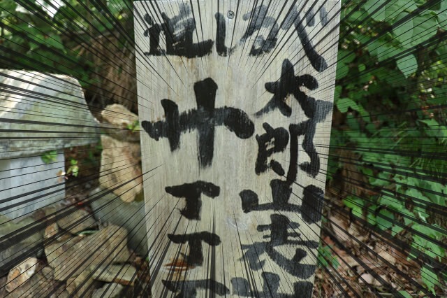 img20180706_15.jpg