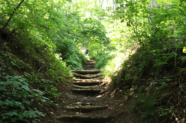 img20180706_16.jpg