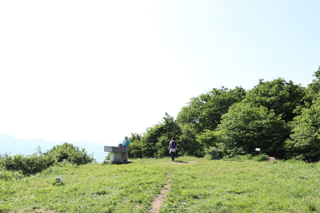 img20180706_22.jpg