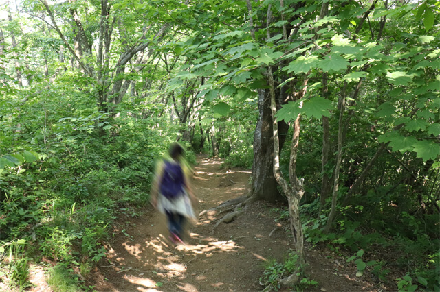 img20180706_24.jpg