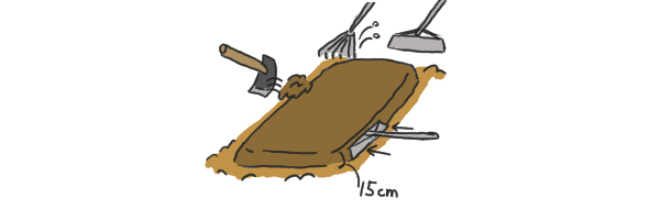 tomat_02.jpg